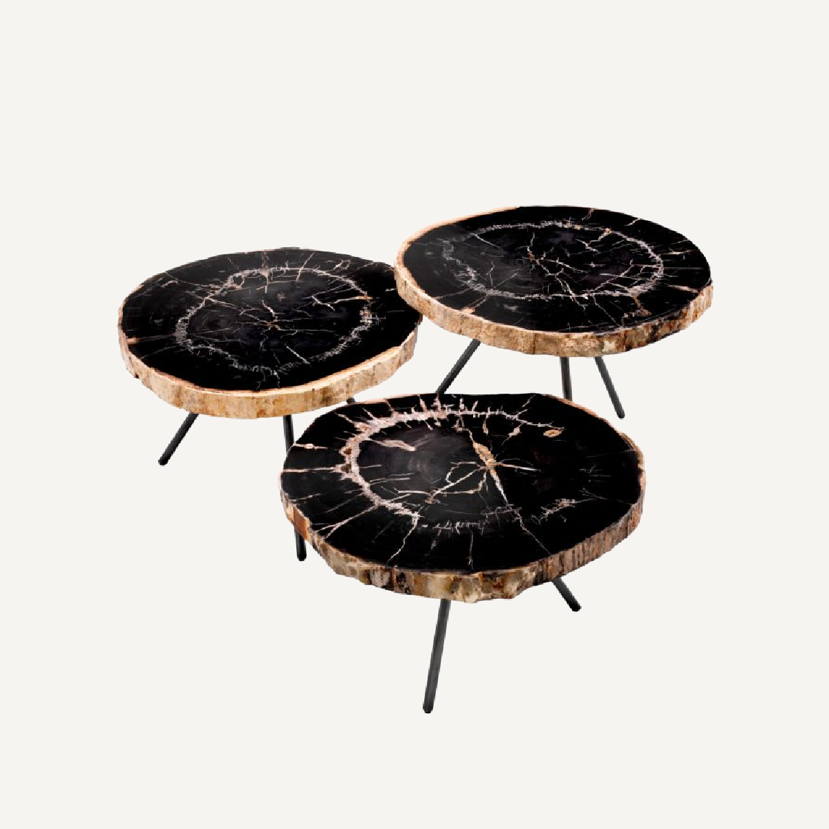 Table basse en bois pétrifié (lot de 3) Soto