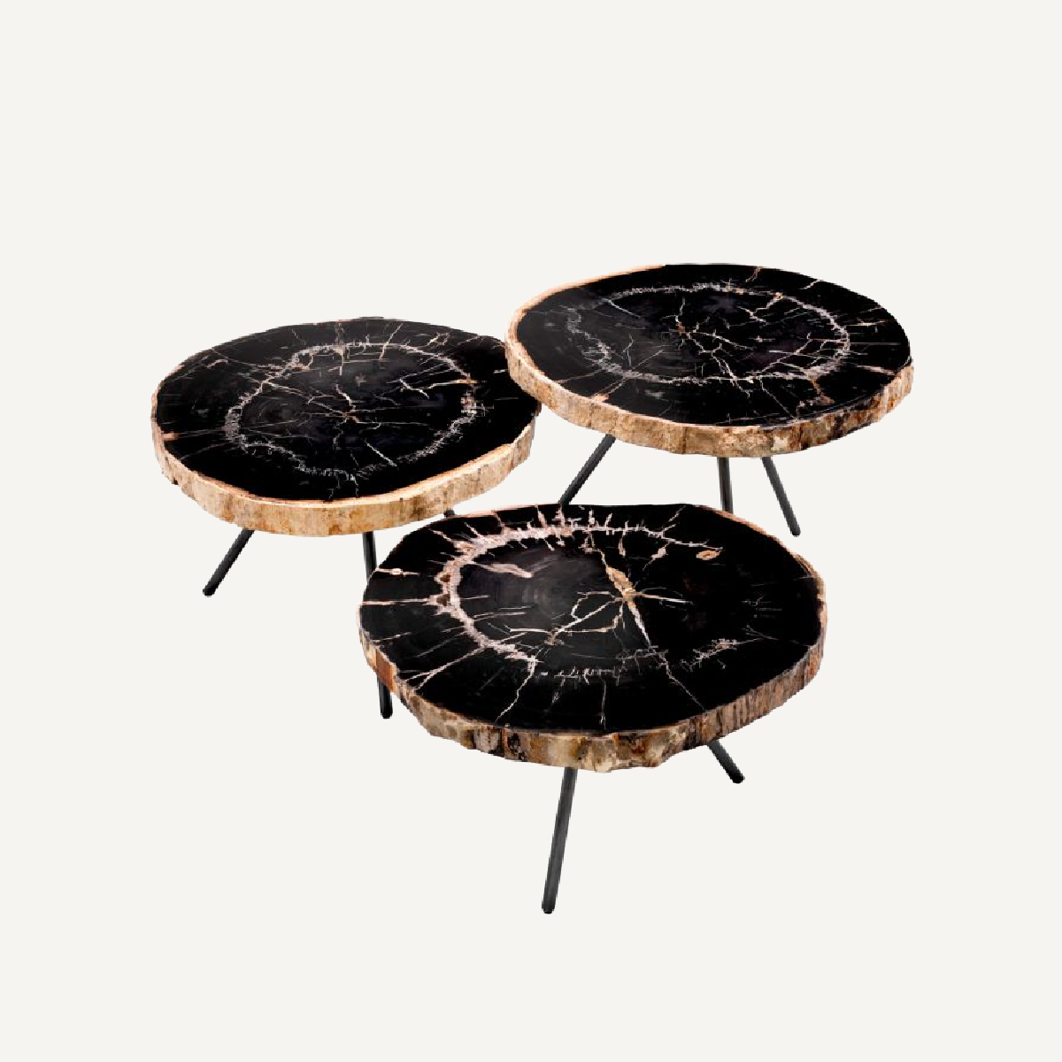 Table basse en bois pétrifié (lot de 3) Soto